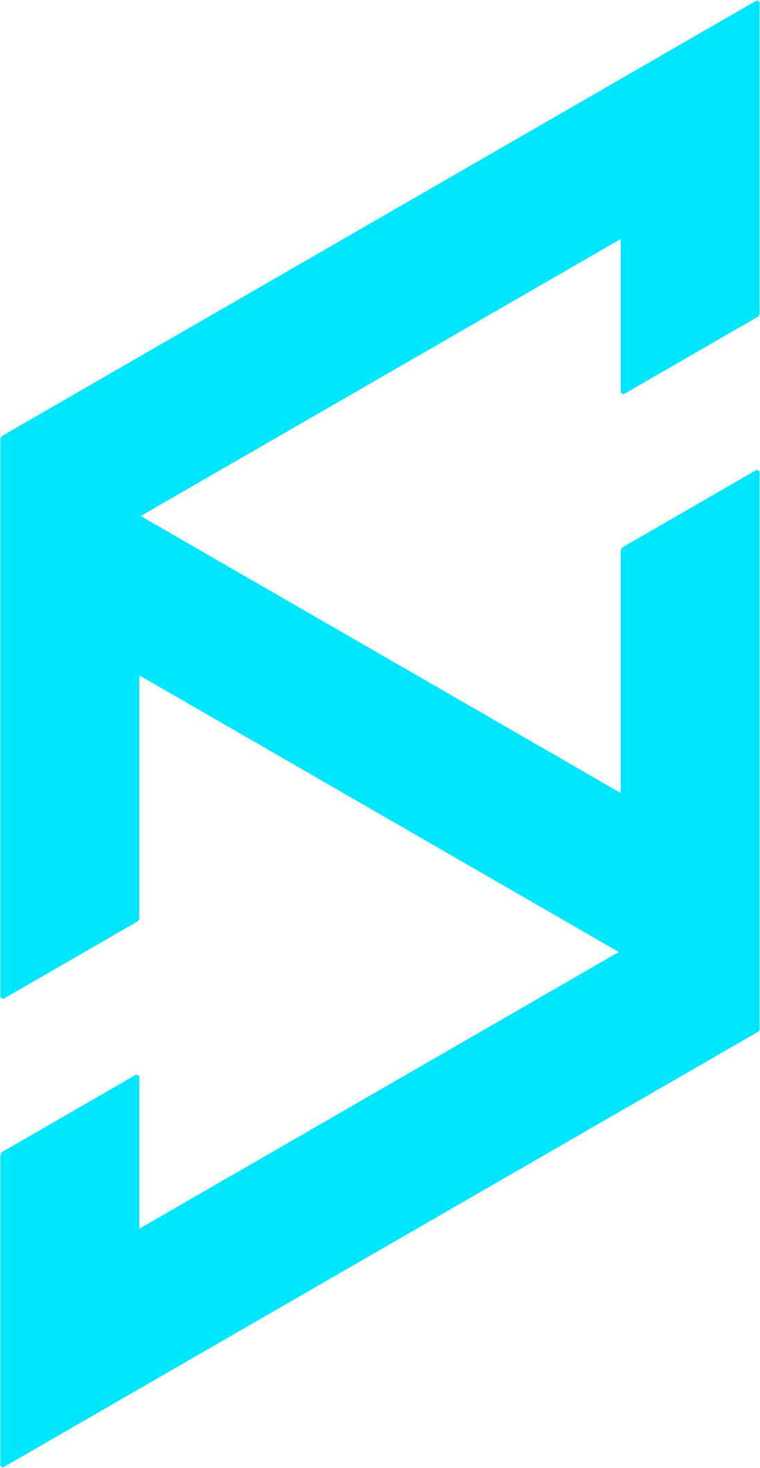 Chang Dick Shen (DSON) - Integrated Multimedia Designer Logo